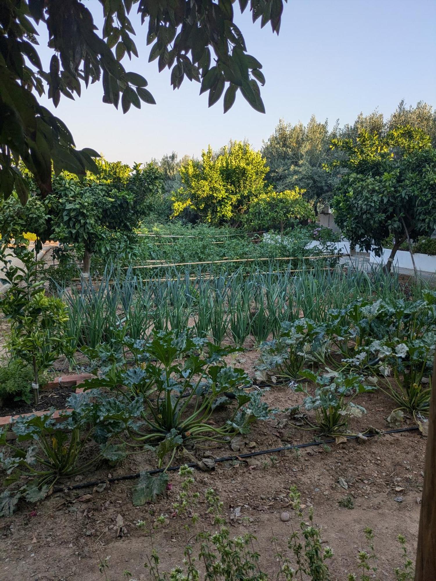 Casas De Juromenha 게스트하우스 외부 사진